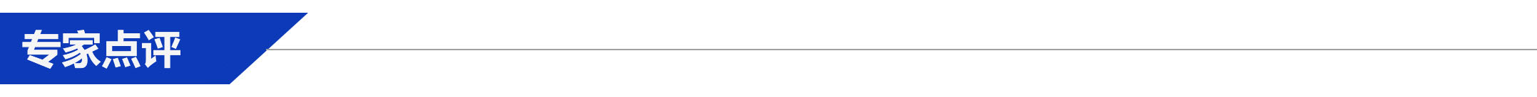 專家點評.jpg